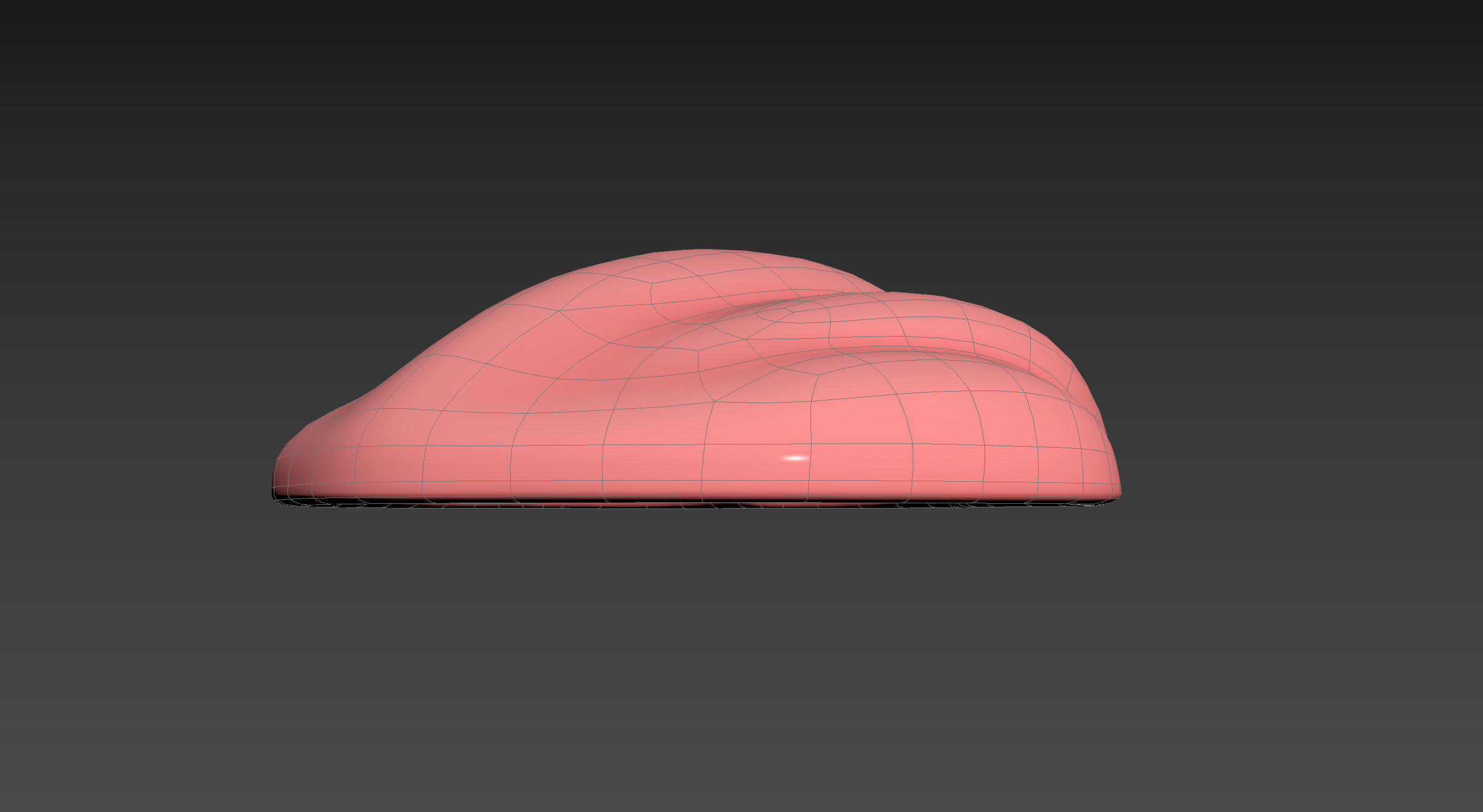 Sea Shell 3D model_21