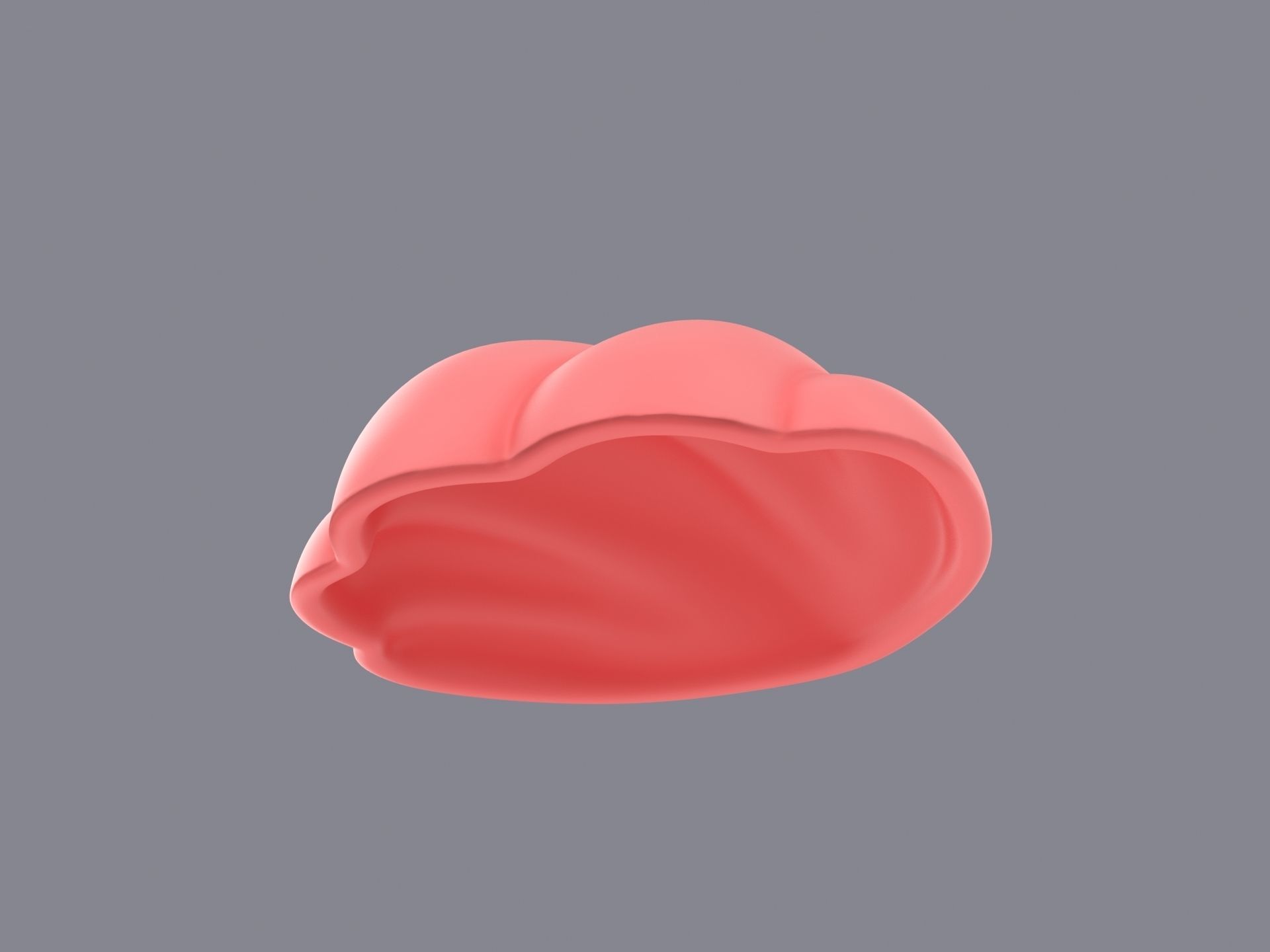 Sea Shell 3D model_4