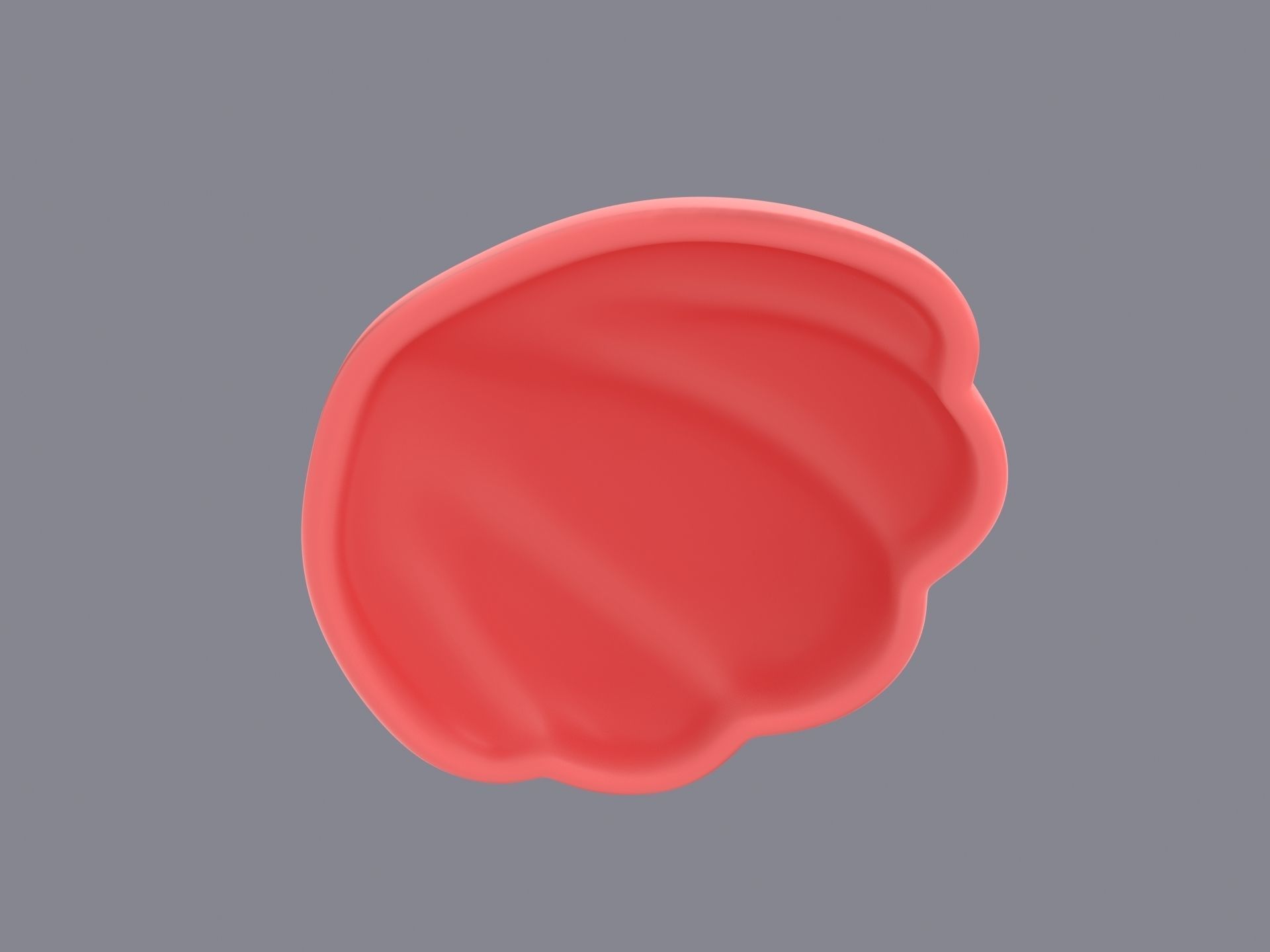Sea Shell 3D model_9