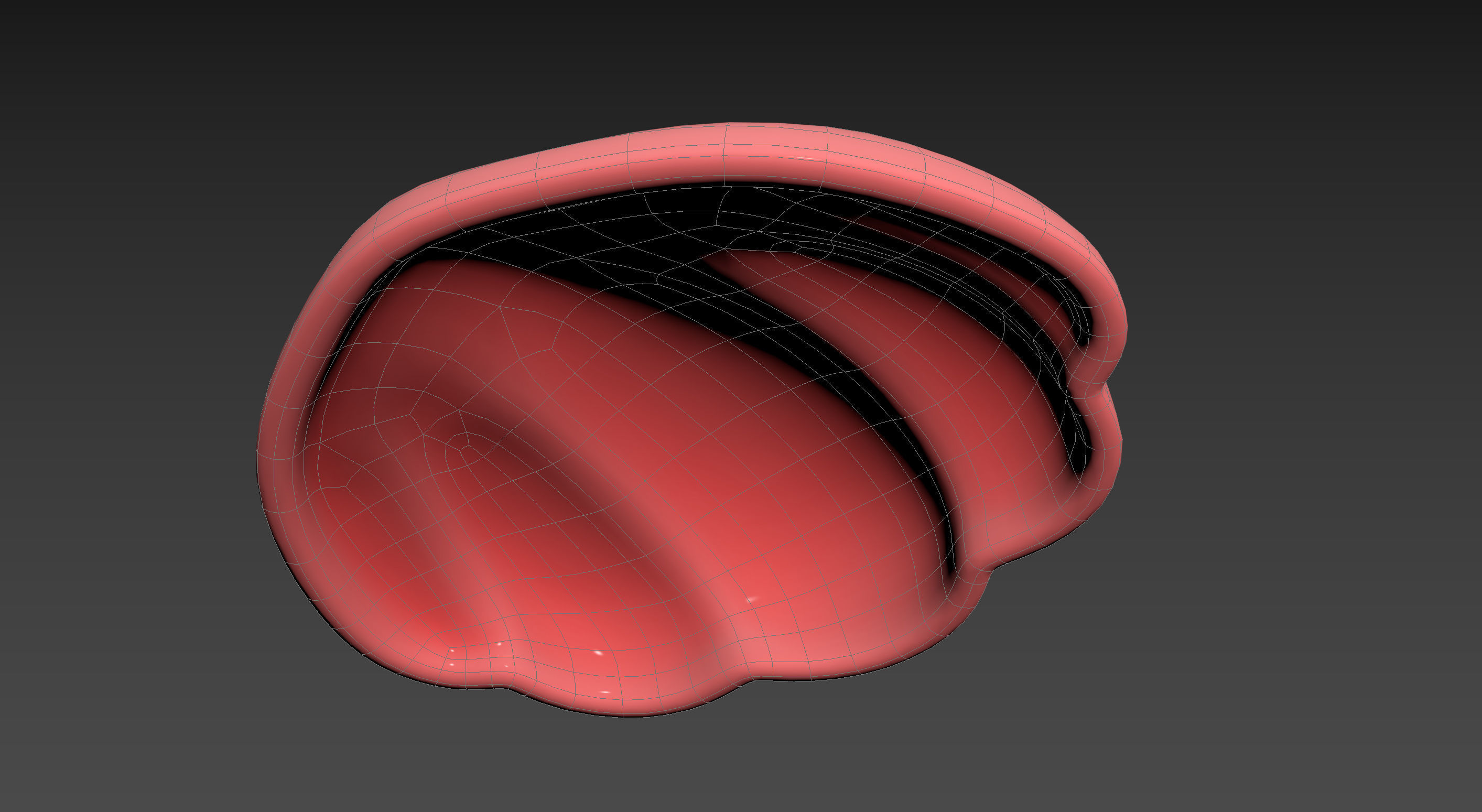 Sea Shell 3D model_22