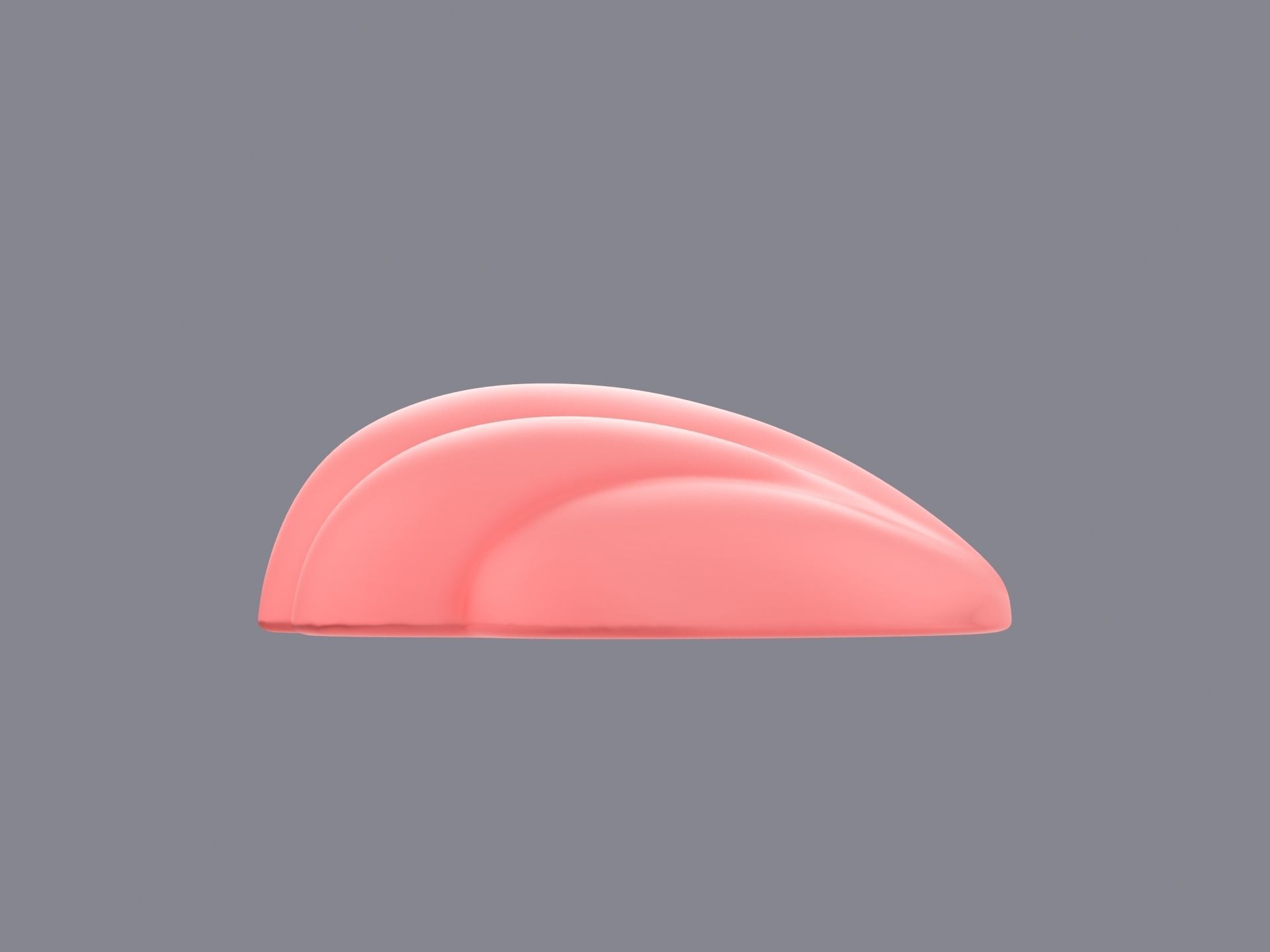 Sea Shell 3D model_3