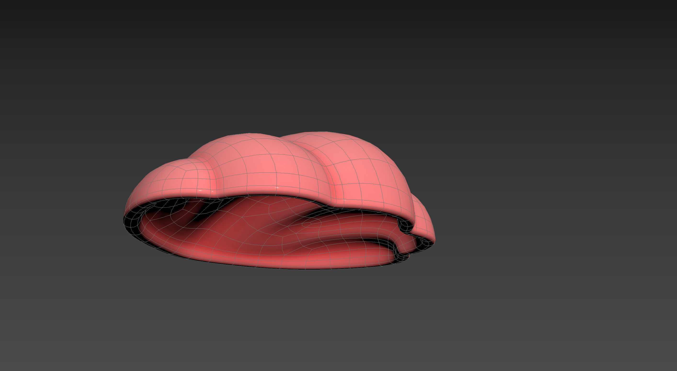 Sea Shell 3D model_17