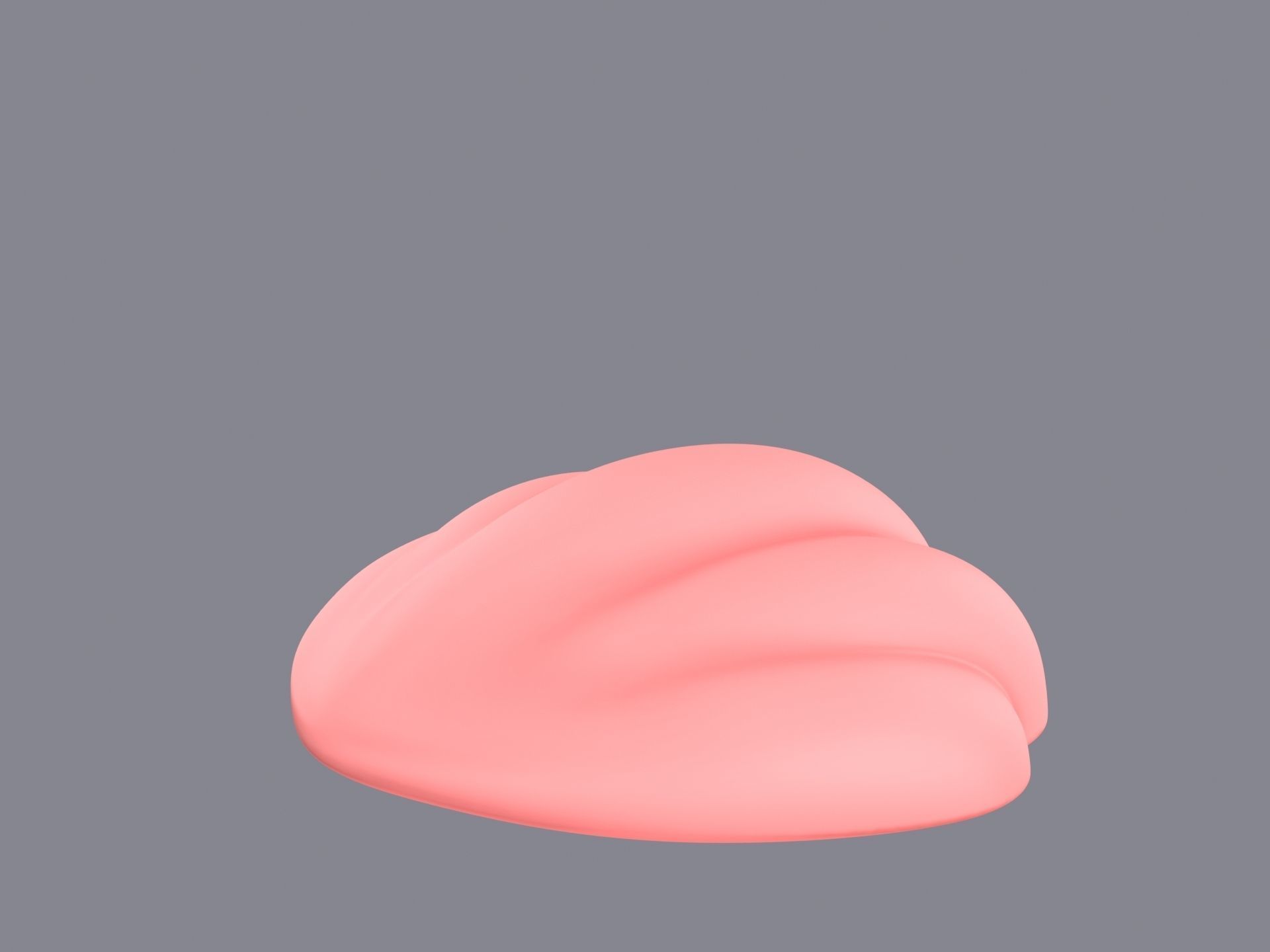 Sea Shell 3D model_8