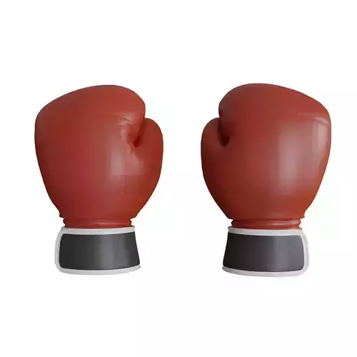 Boxing Gloves