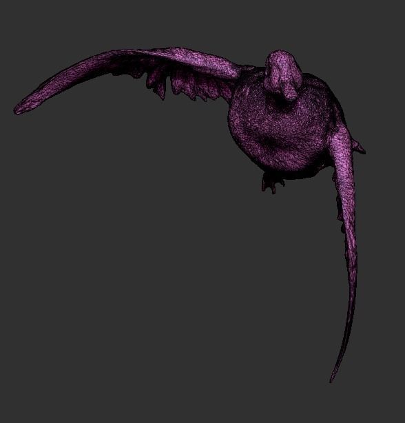 Flying duck 13 Low-poly 3D model_6