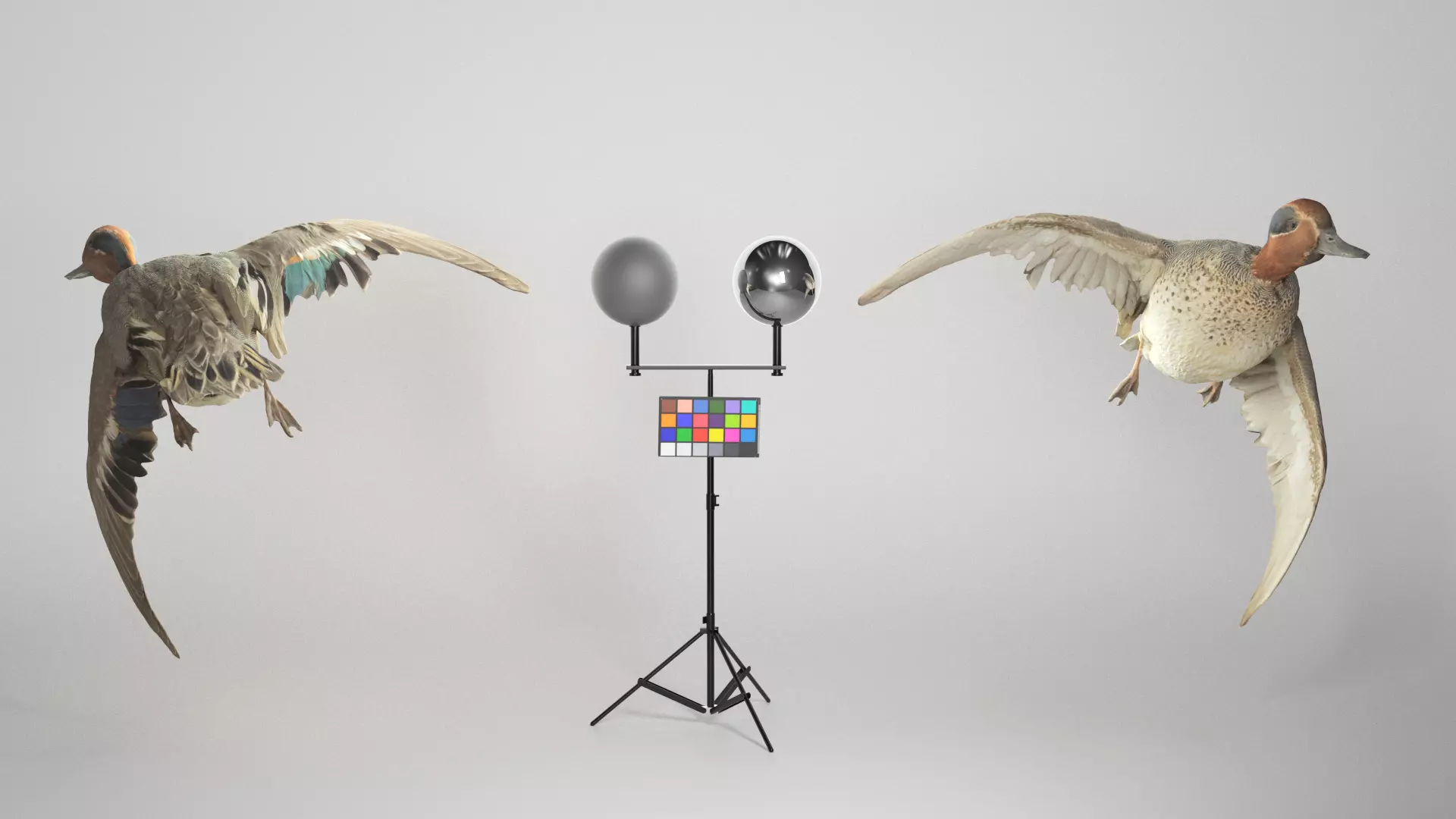 Flying duck 13 Low-poly 3D model_0