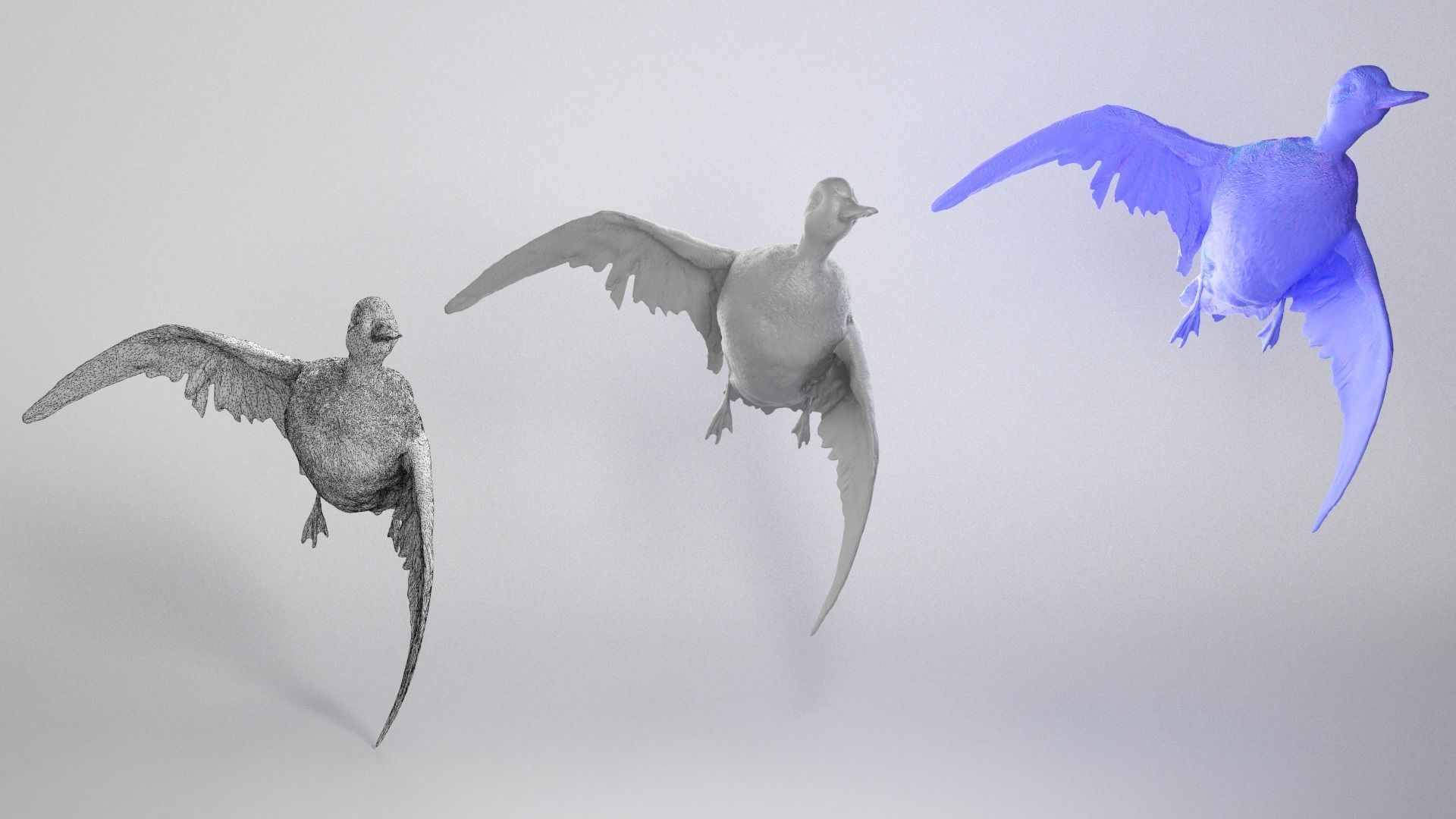 Flying duck 13 Low-poly 3D model_3