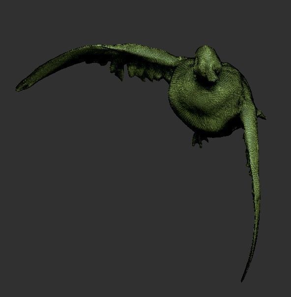 Flying duck 13 Low-poly 3D model_4