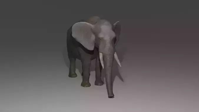 Elephant Rigged