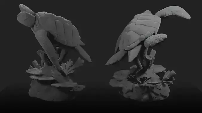 Sea Turtle Model