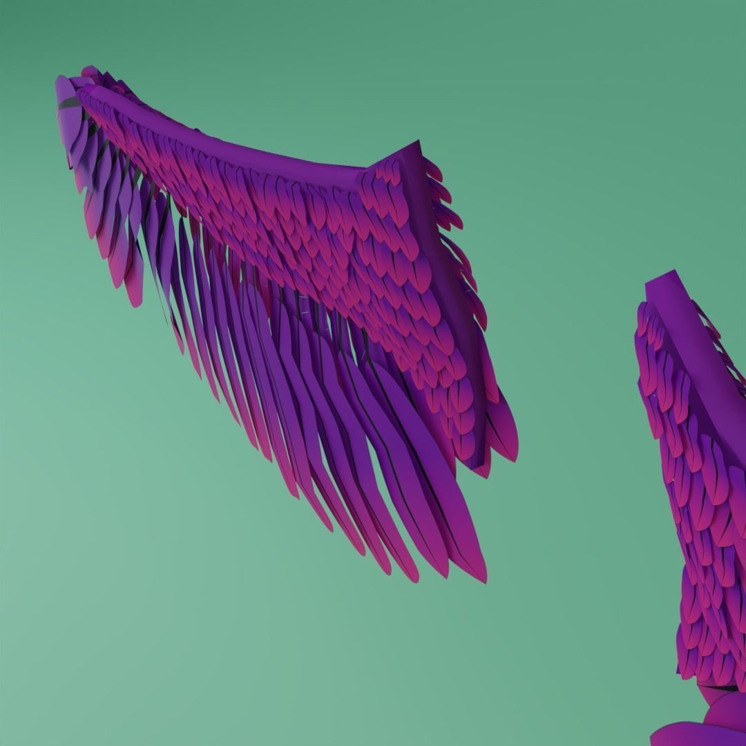 Wings - Low-poly 3D model two 3D model_8