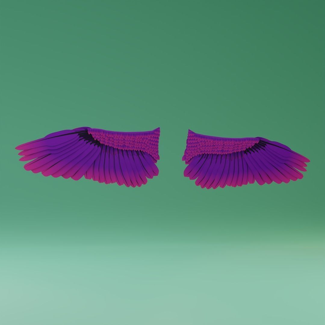 Wings - Low-poly 3D model two 3D model_5