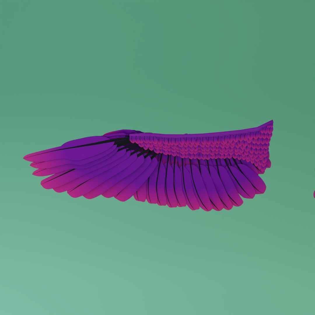 Wings - Low-poly 3D model two 3D model_6
