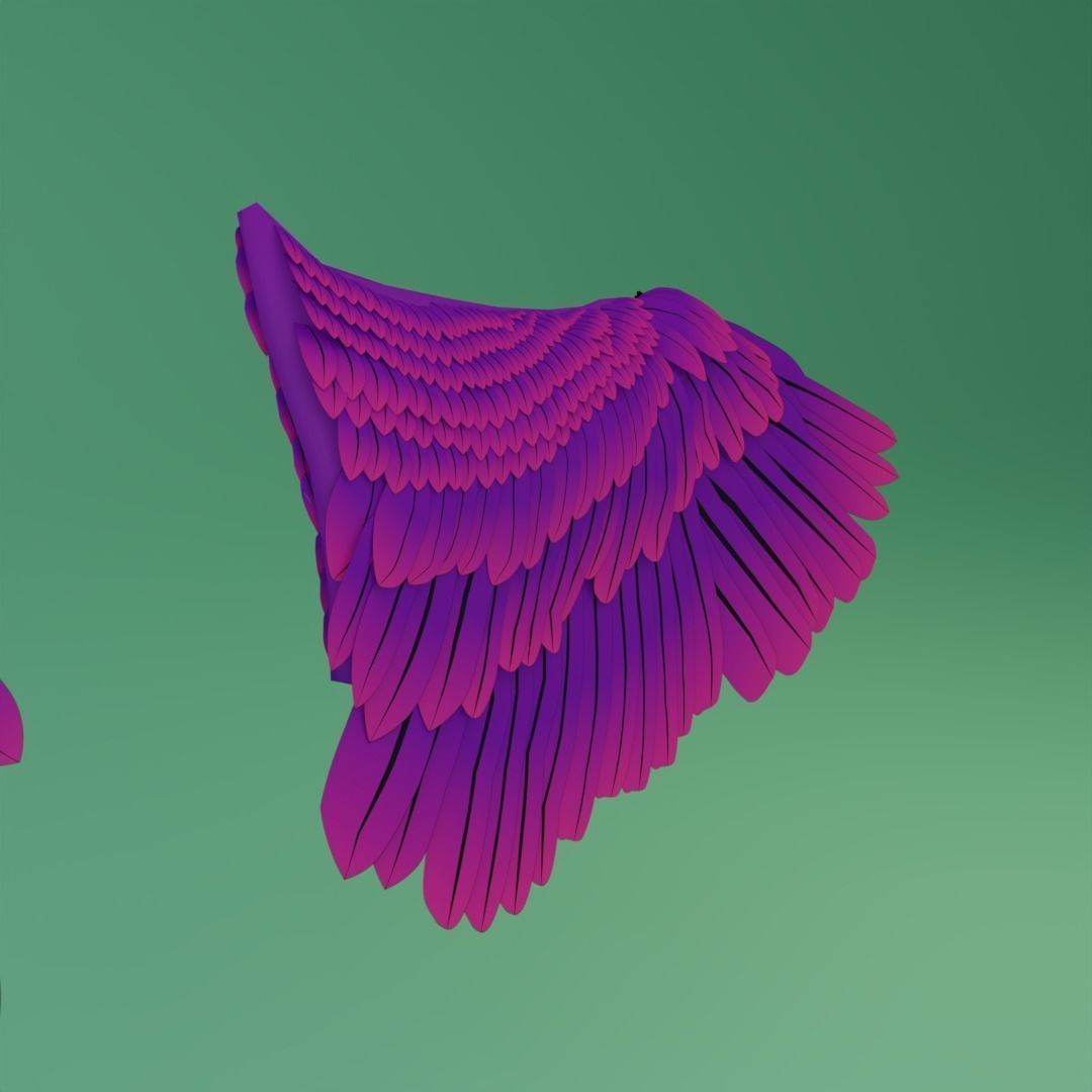 Wings - Low-poly 3D model two 3D model_2