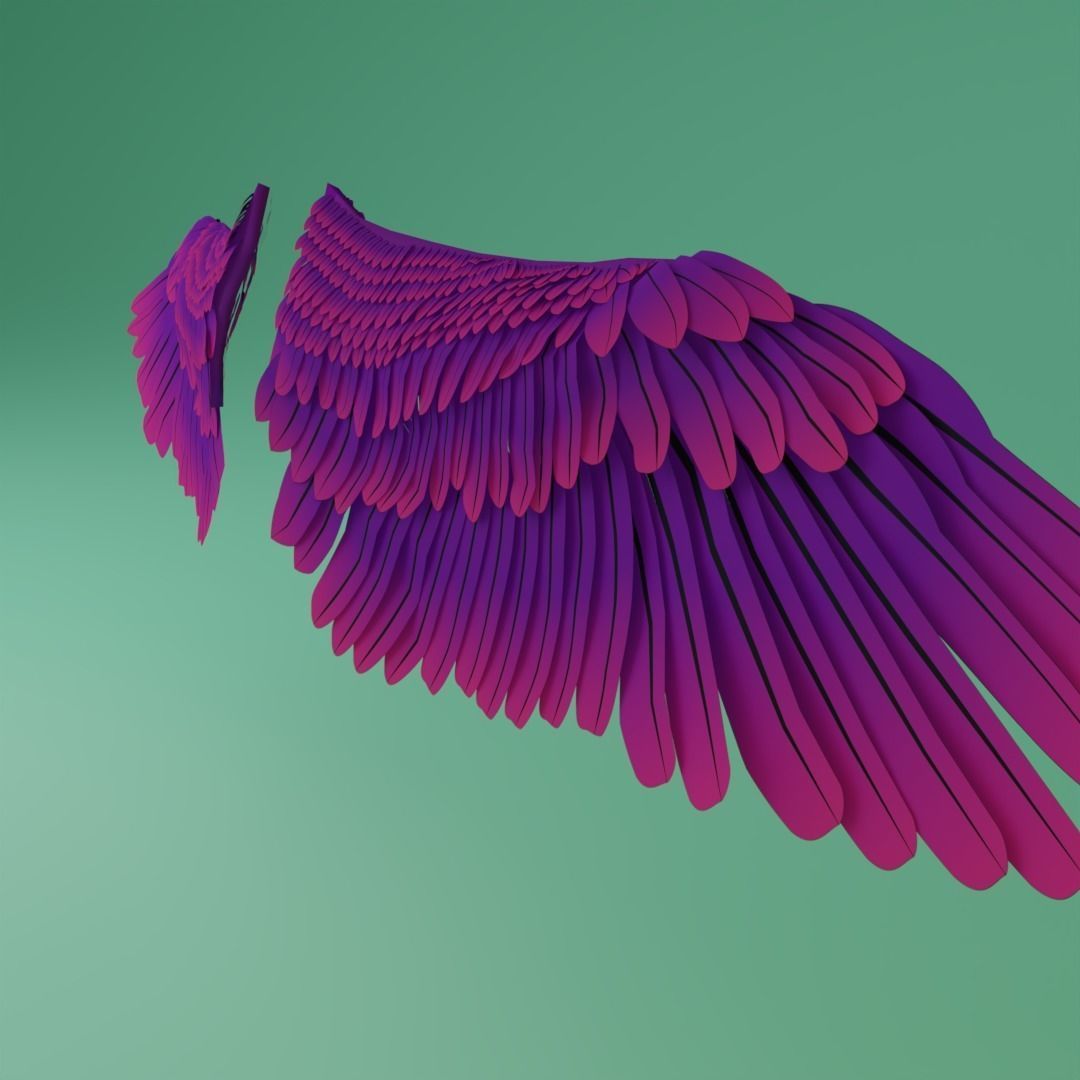 Wings - Low-poly 3D model two 3D model_4