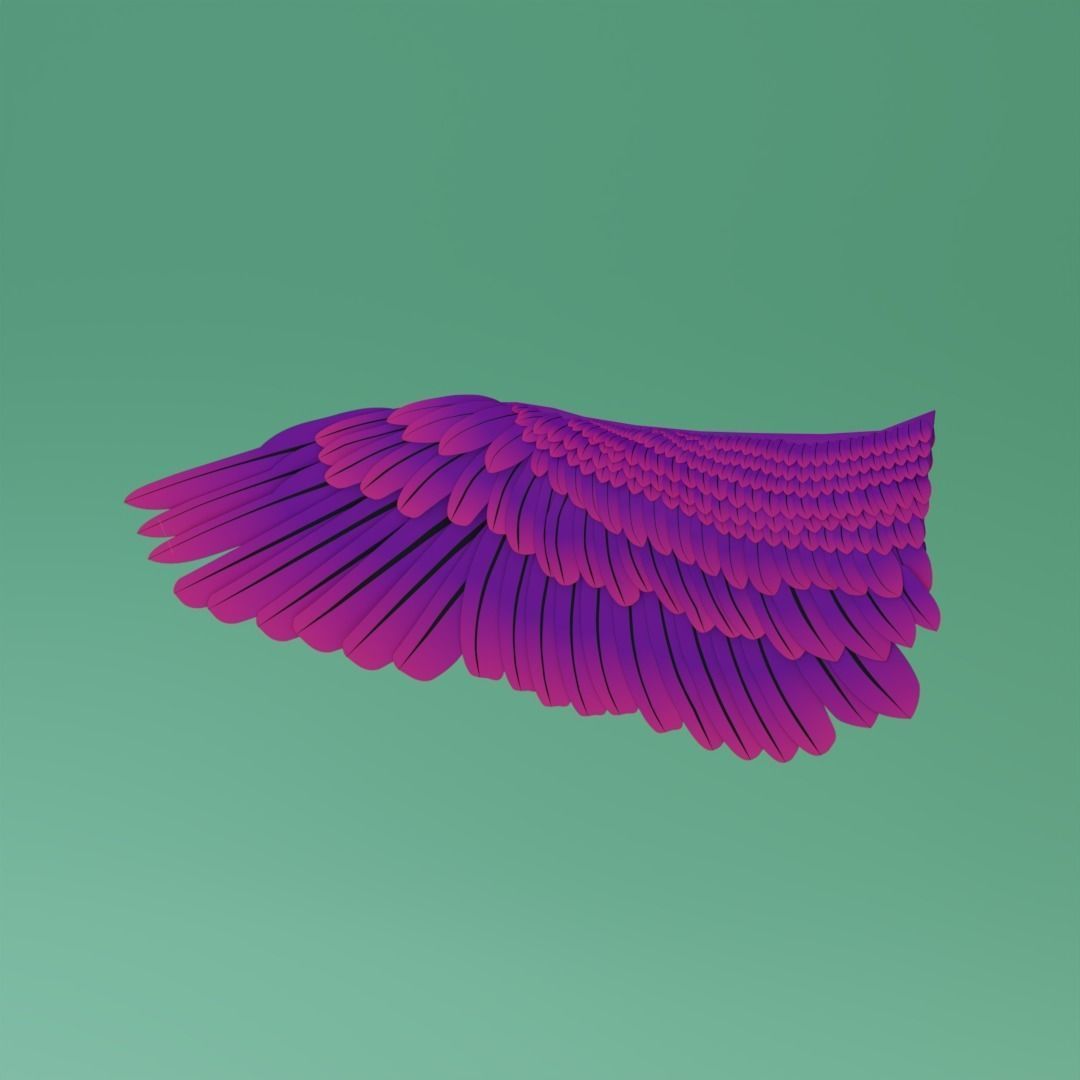 Wings - Low-poly 3D model two 3D model_1
