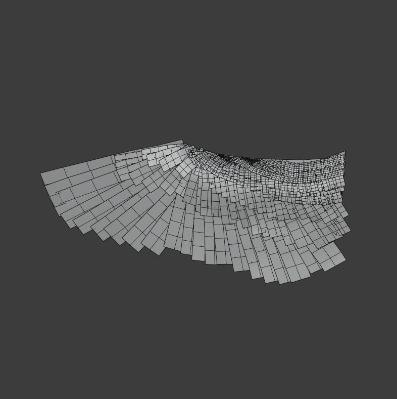 Wings - Low-poly 3D model two 3D model_11