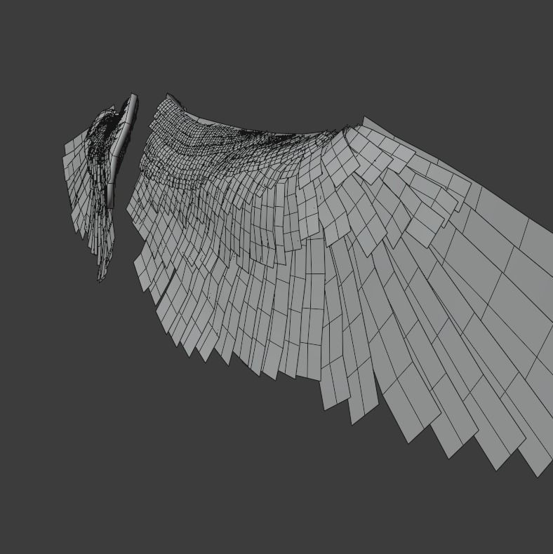 Wings - Low-poly 3D model two 3D model_14