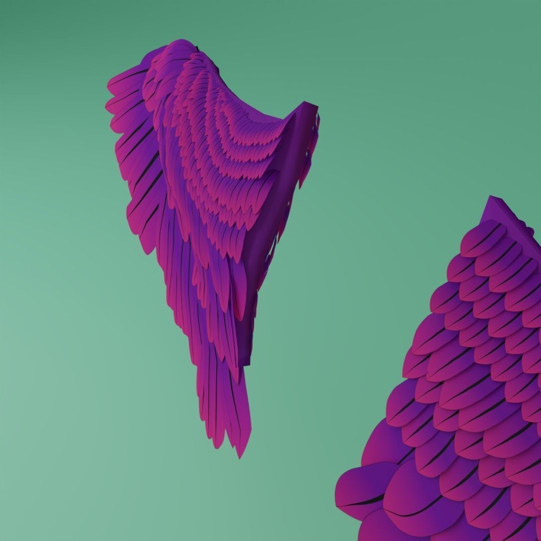 Wings - Low-poly 3D model two 3D model_3
