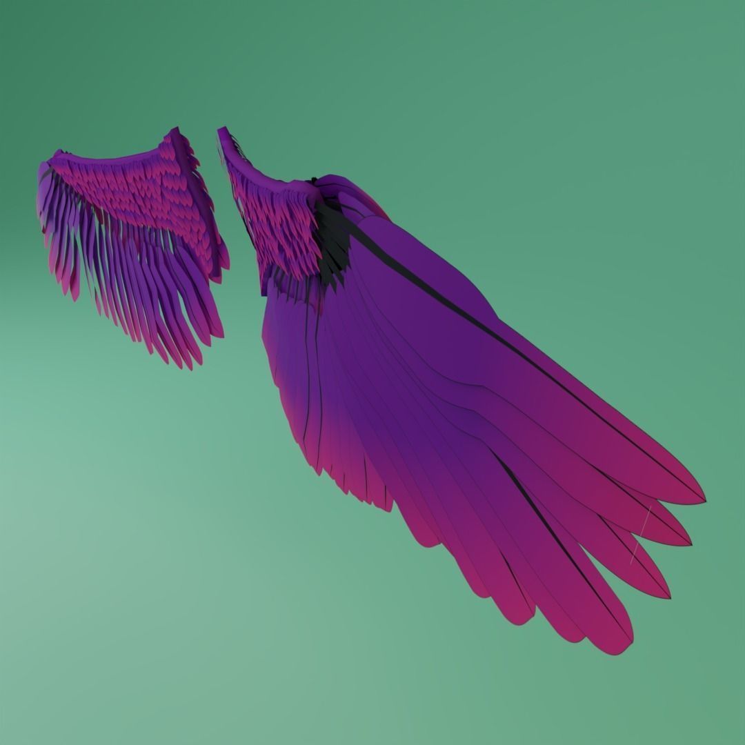 Wings - Low-poly 3D model two 3D model_9