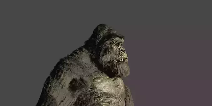 kong 2021 rig Free 3D model
