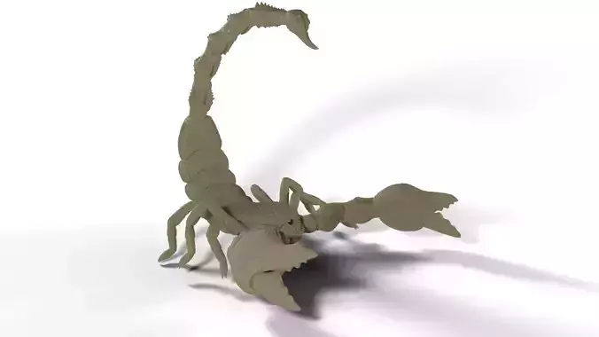 Scorpion Model