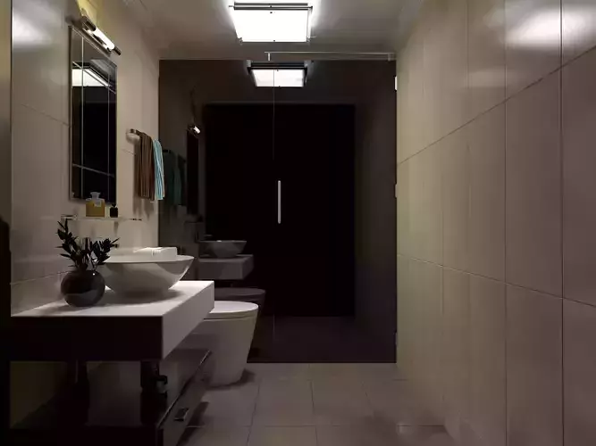Bathroom modern