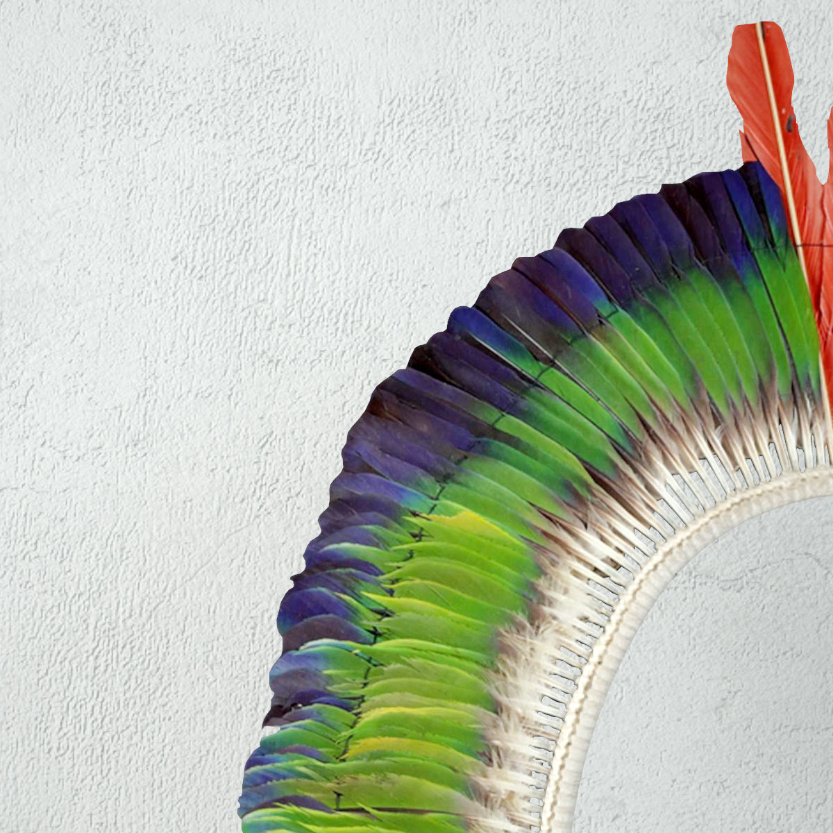 Juruna Tribe Feather Headdress 3D model_5