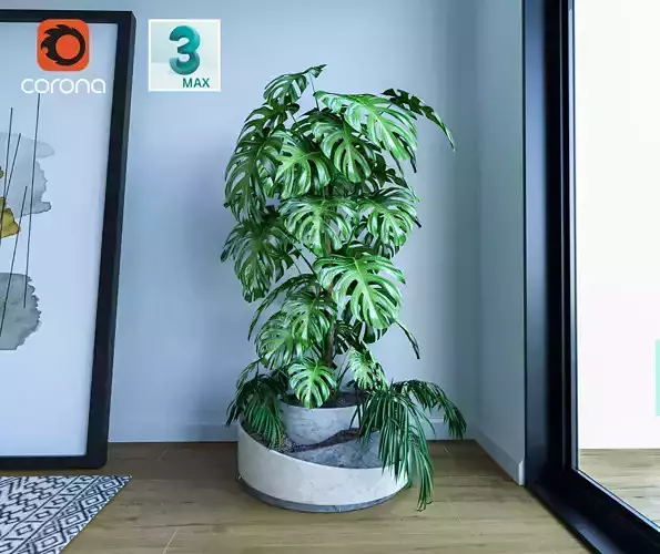 Monstera and Palm plant 3D model