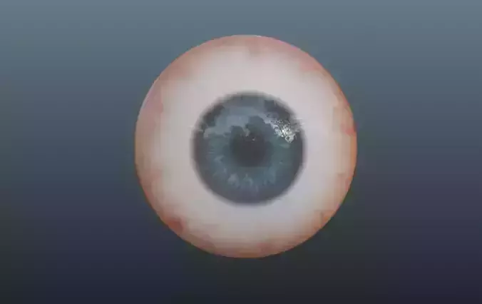 Human Eye