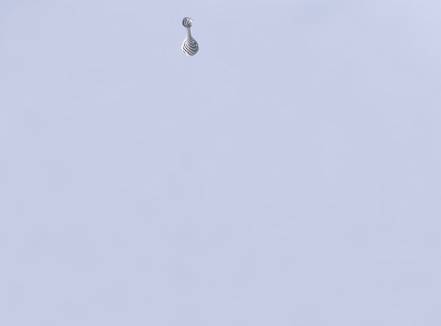 Vase curved thin neck with twisted two layered lines very twi... 3D print model_2