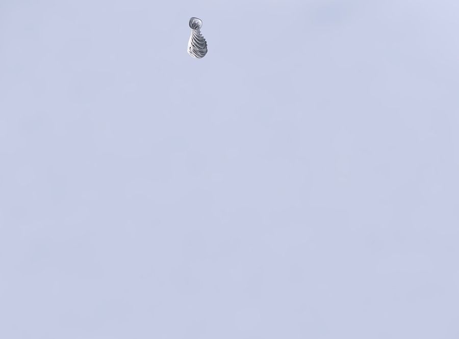 Vase curved narrow mid with intertwining lines very twisted a... 3D print model_2