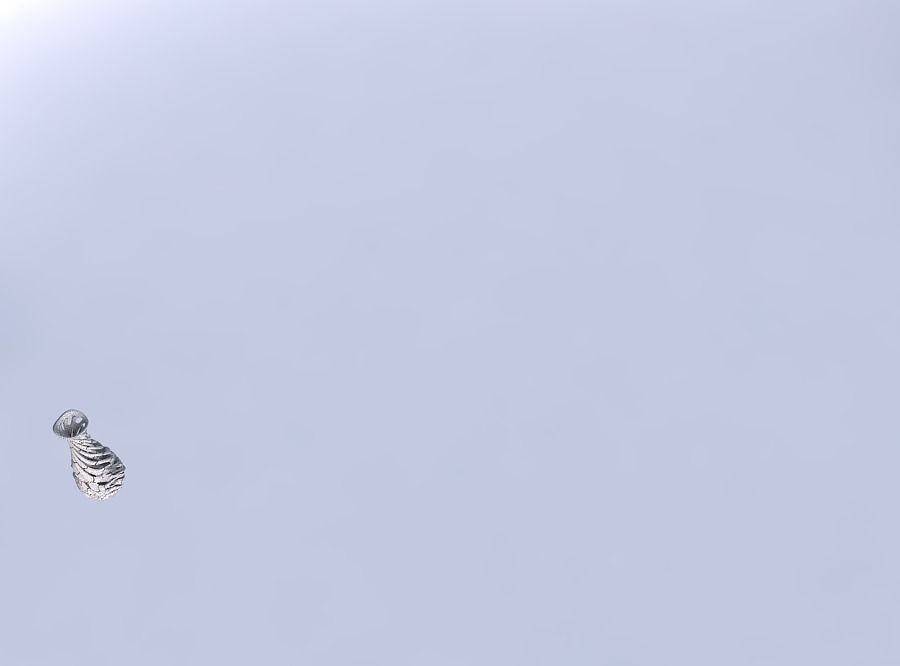 Vase curved narrow mid with intertwining lines very twisted a... 3D print model_6