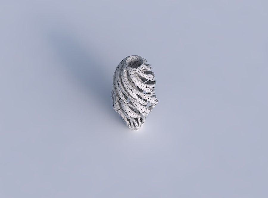 Vase curved mushroom with intertwining lines twisted and tapered 3D print model_6