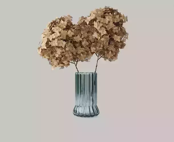 Dry Hydrangea Flowers 3D model Free