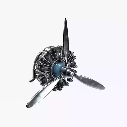 Airplane Radial Engine with Propeller 3D model