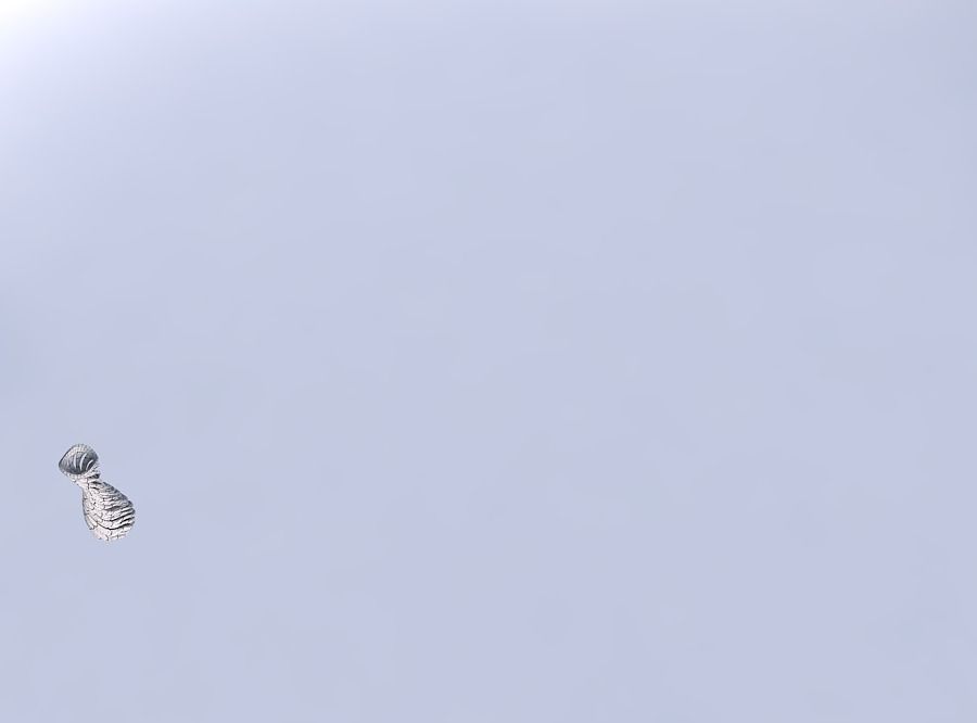 Vase curved hourglass slim with beveled intertwining lines ve... 3D print model_6