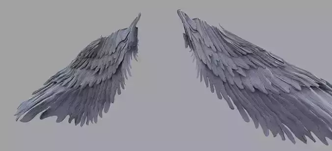 Harpy Wings 3D model