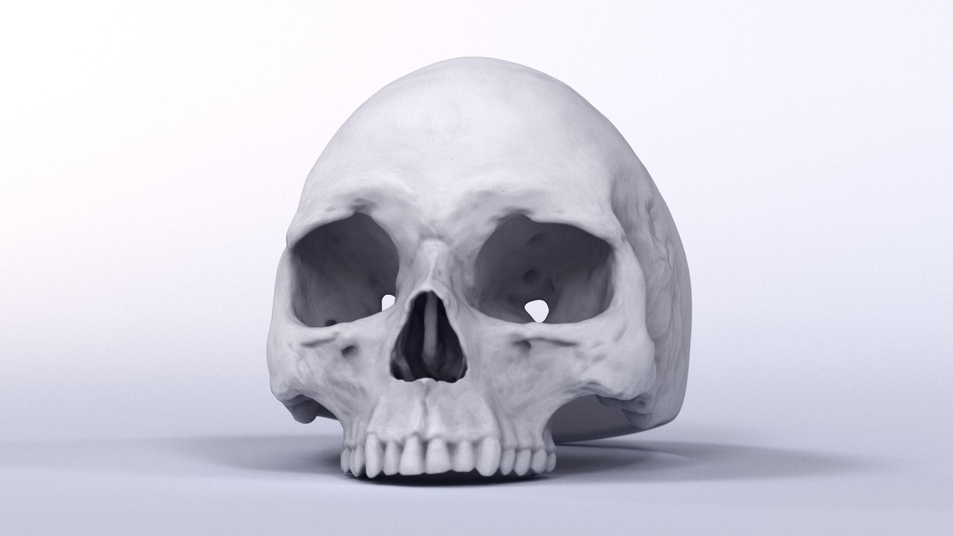 Human Skull Ring Printable 3D Model 3D print model_21