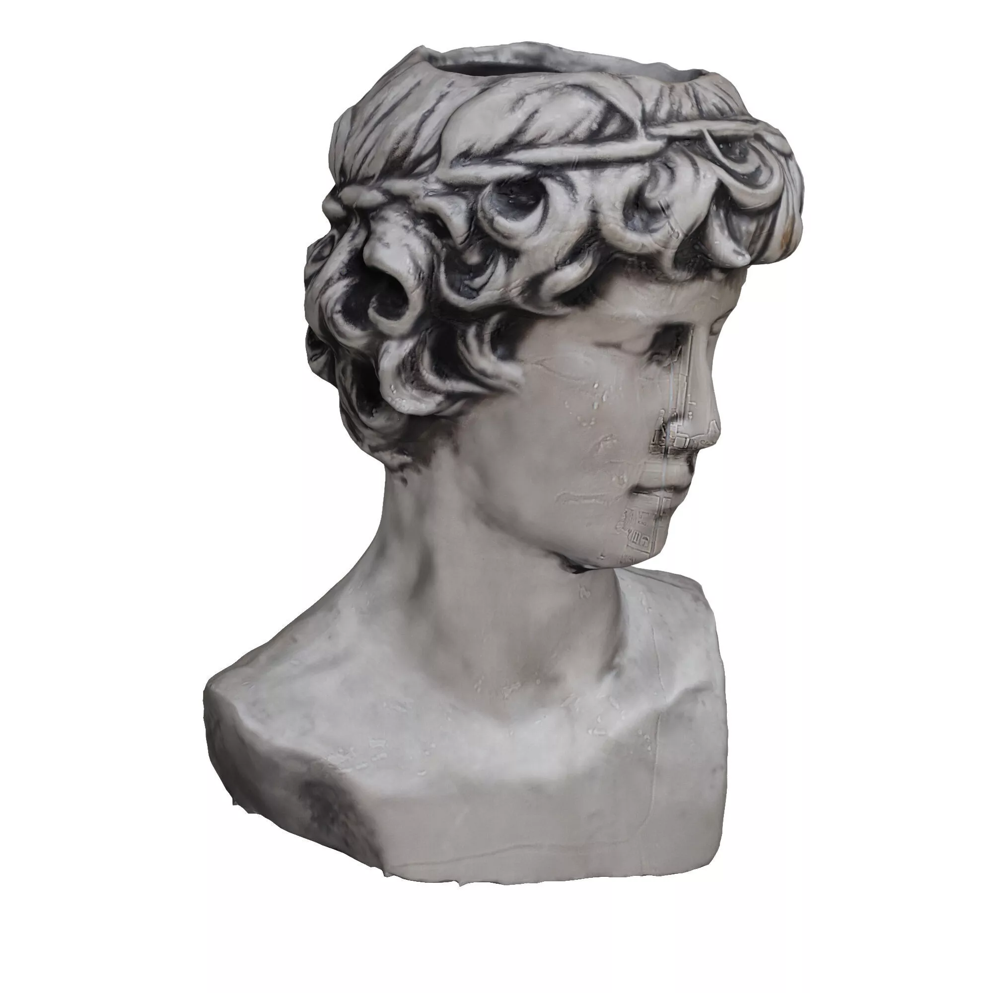 head sculpt Free low-poly 3D model