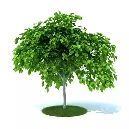 Green Artificial Garden Plant