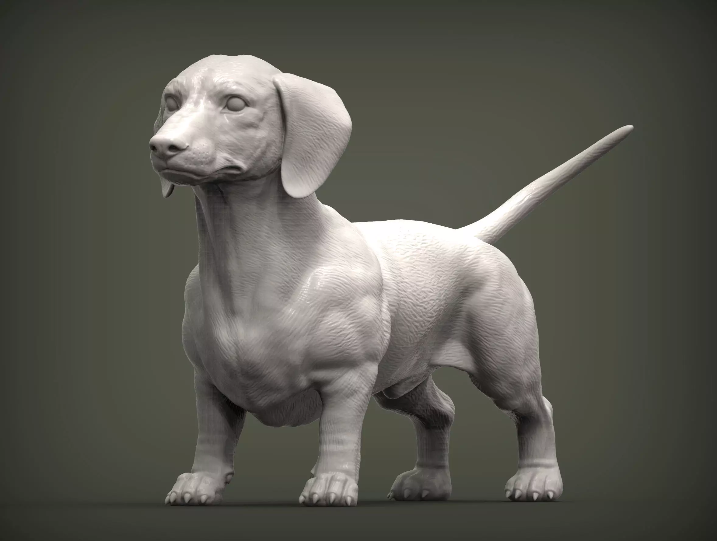 dachshund 3D print model_0