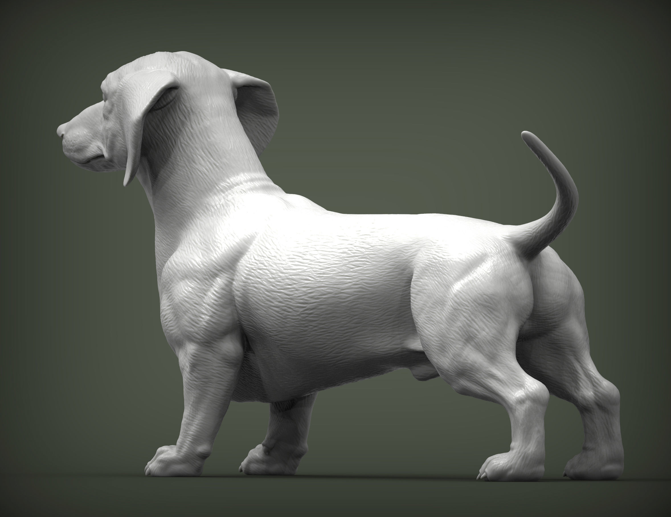 dachshund 3D print model_2