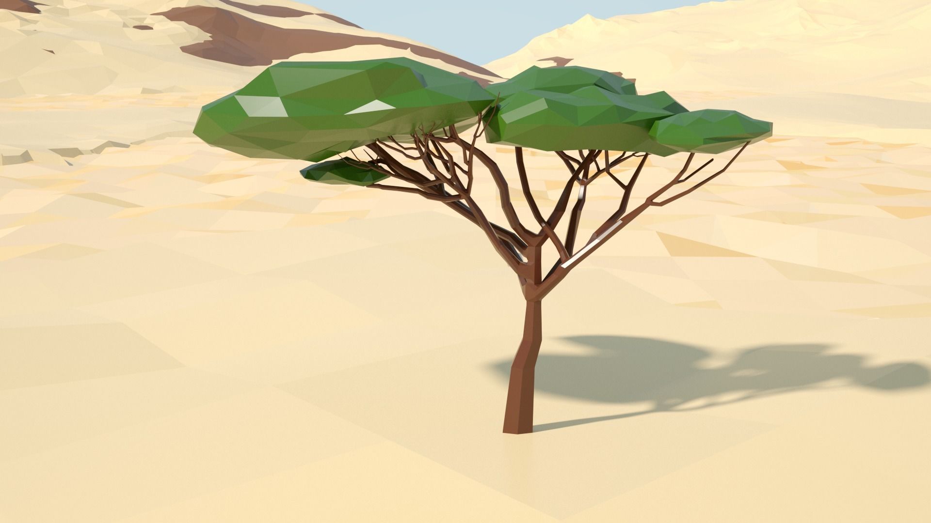 Acacia tree stylized model Low-poly 3D model_41