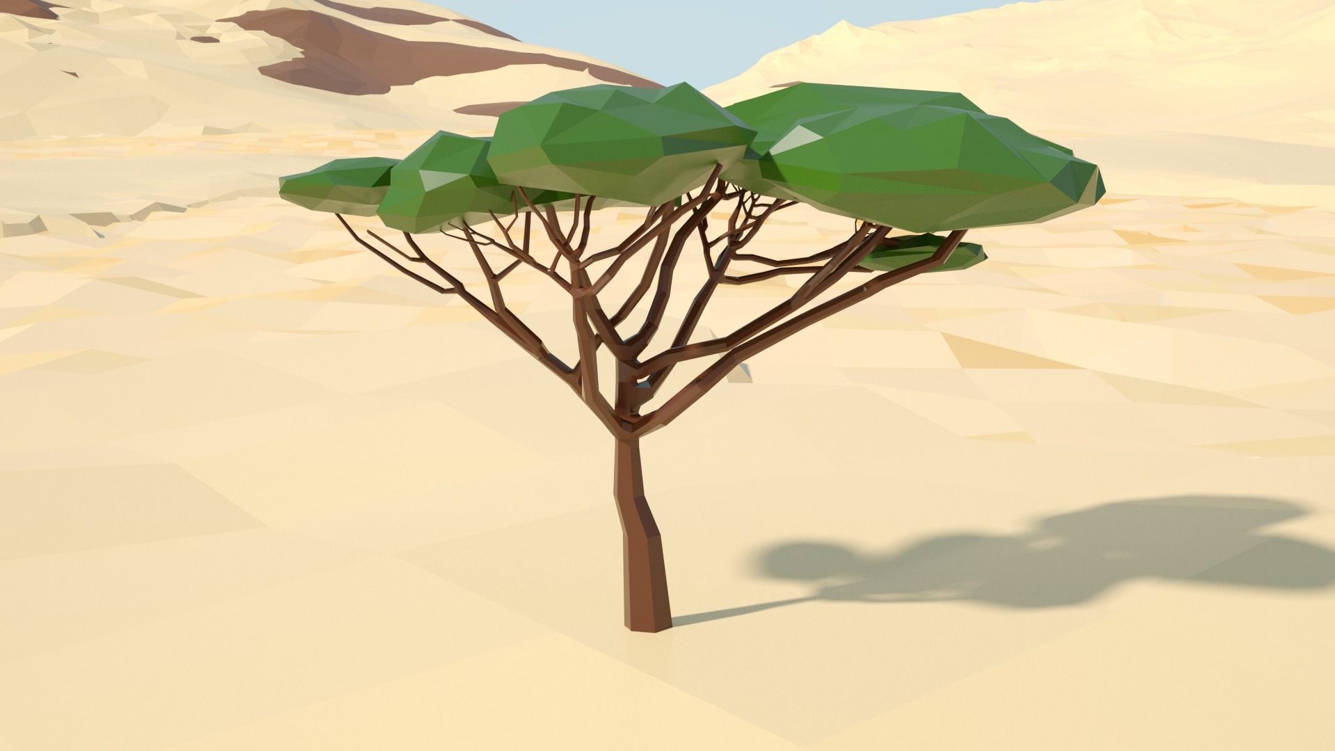 Acacia tree stylized model Low-poly 3D model_65