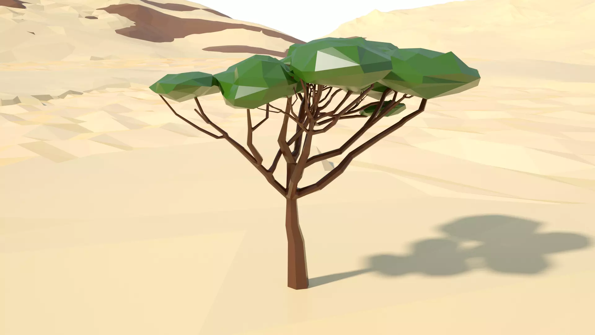 Acacia tree stylized model Low-poly 3D model_0