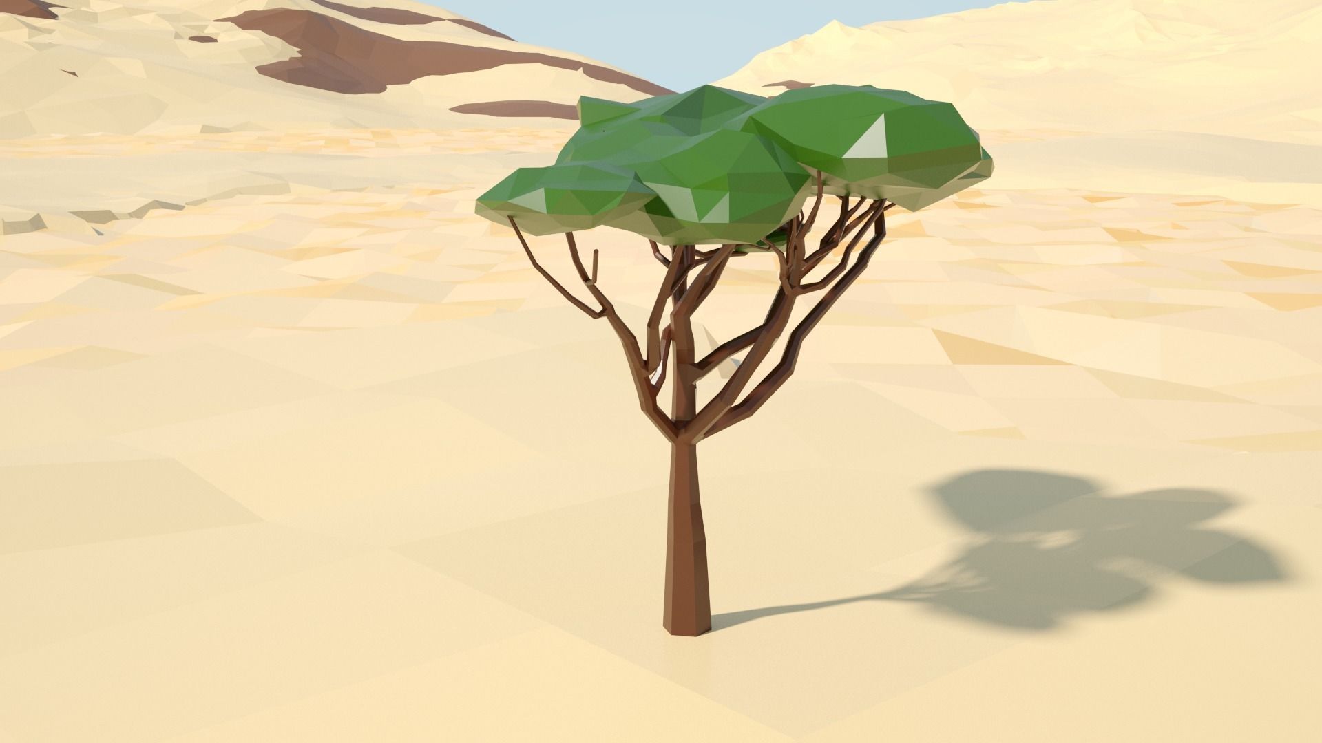 Acacia tree stylized model Low-poly 3D model_11