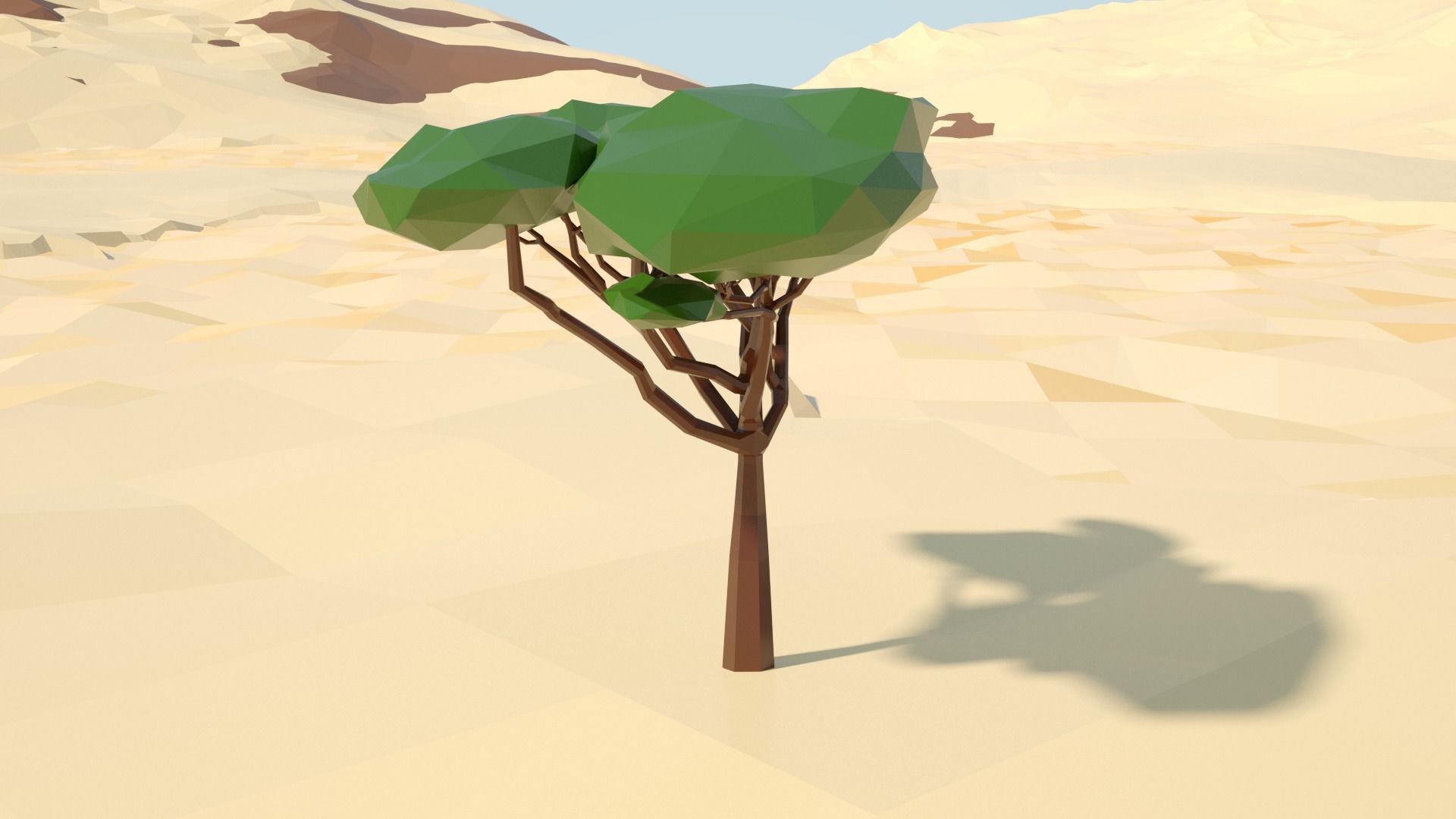 Acacia tree stylized model Low-poly 3D model_18