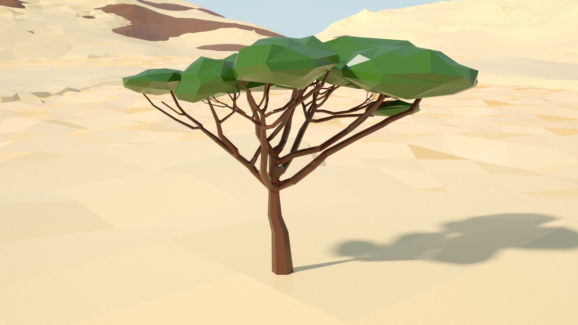 Acacia tree stylized model Low-poly 3D model_68