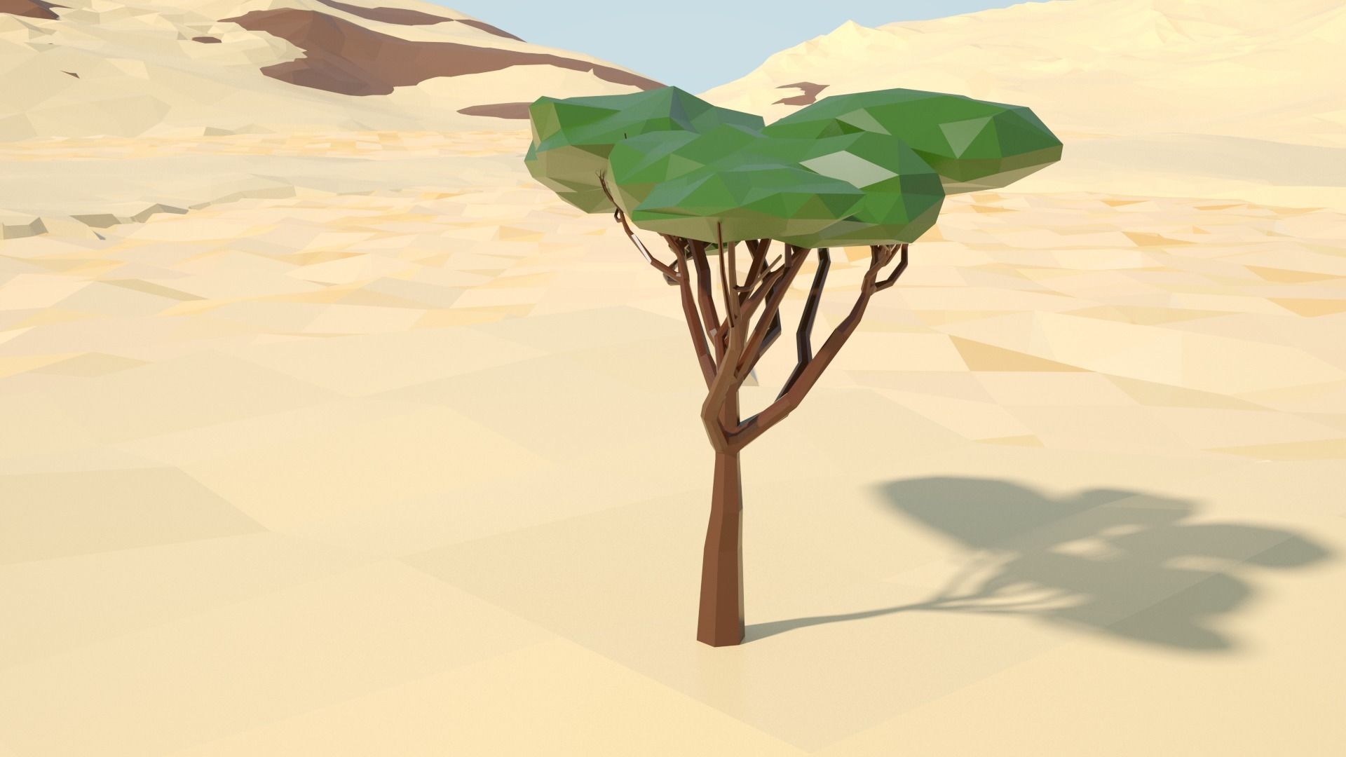 Acacia tree stylized model Low-poly 3D model_30
